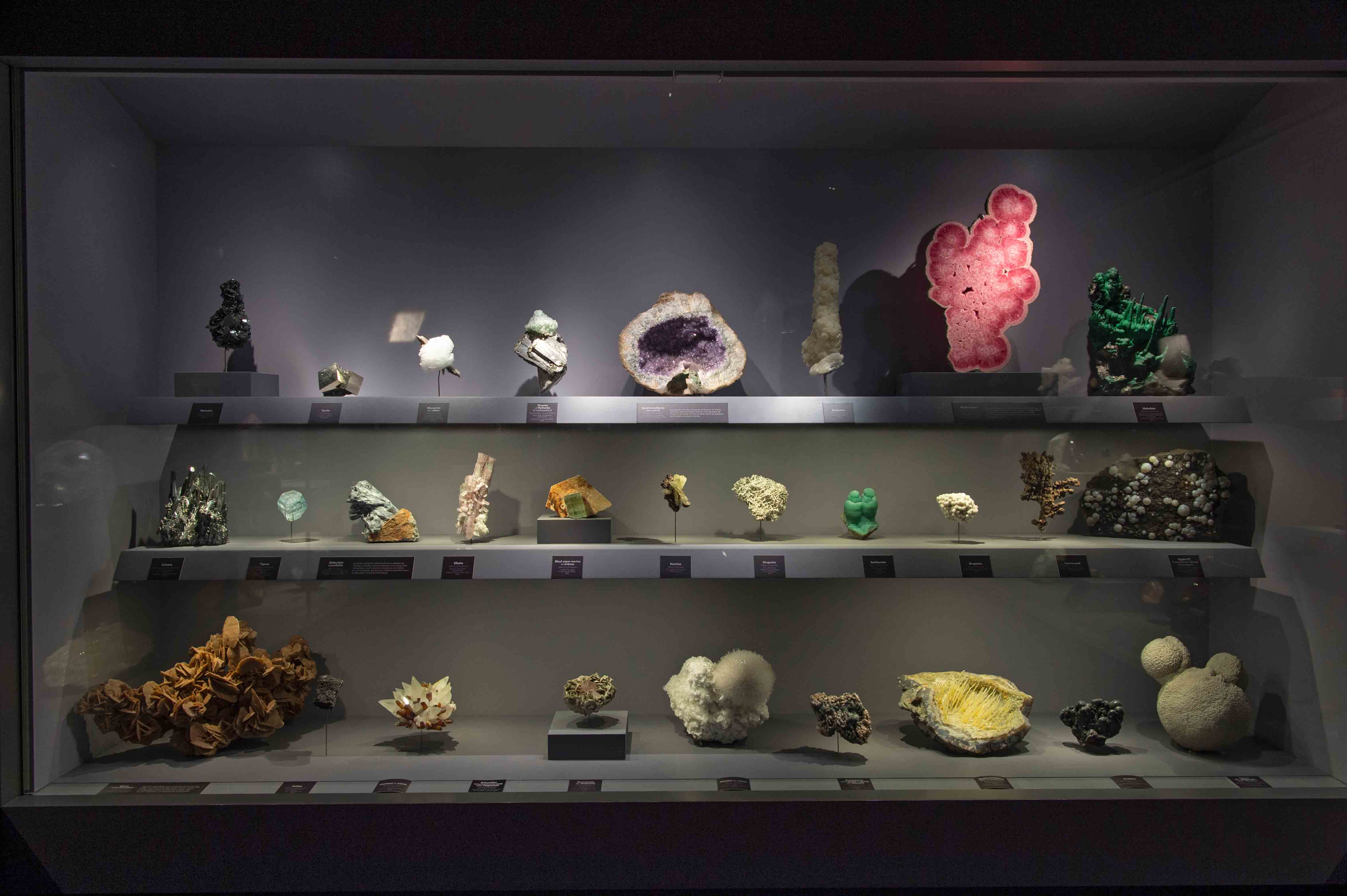 E billet adulte a partir de 26 ans galerie de mineralogie validite 05 03 2028