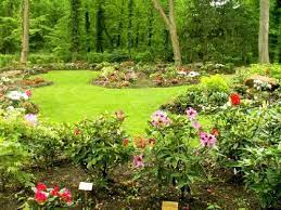 E billet adulte a partir de 17 ans parc zoologique et botanique de mulhouse valable basse et haute 26 02 2027