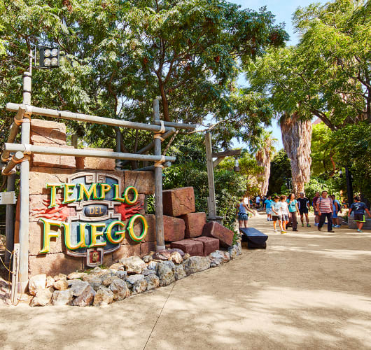 E billet flex adulte portaventura ferrari land 1 jour 2026