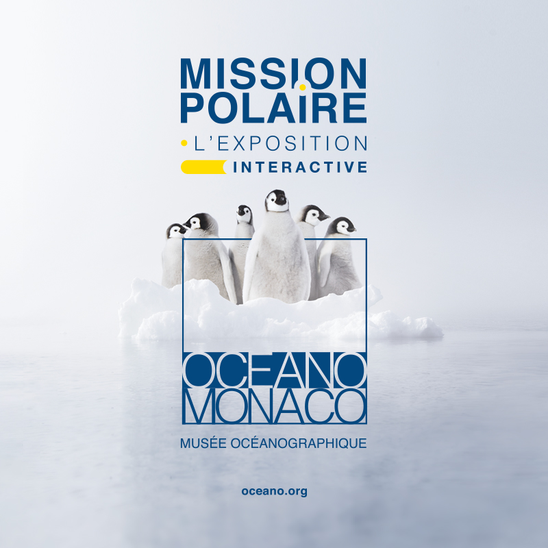 E billet enfant musee oceanographique aquarium de monaco validite 11 02 2027