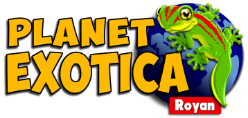 E billet enfant planet exotica basse saison 2026 2027