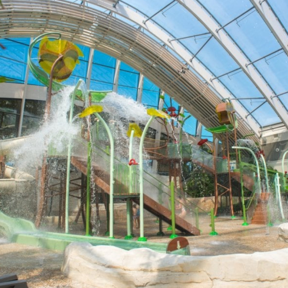 Center parcs domaine le bois aux daims e billet adulte a partir de 12 ans validite 22 06 2027