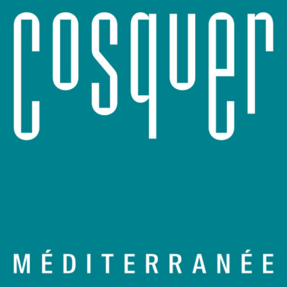 Grotte cosquer mediterranee e billet enfant de 6 a 9 ans inclus validite 24 04 2027