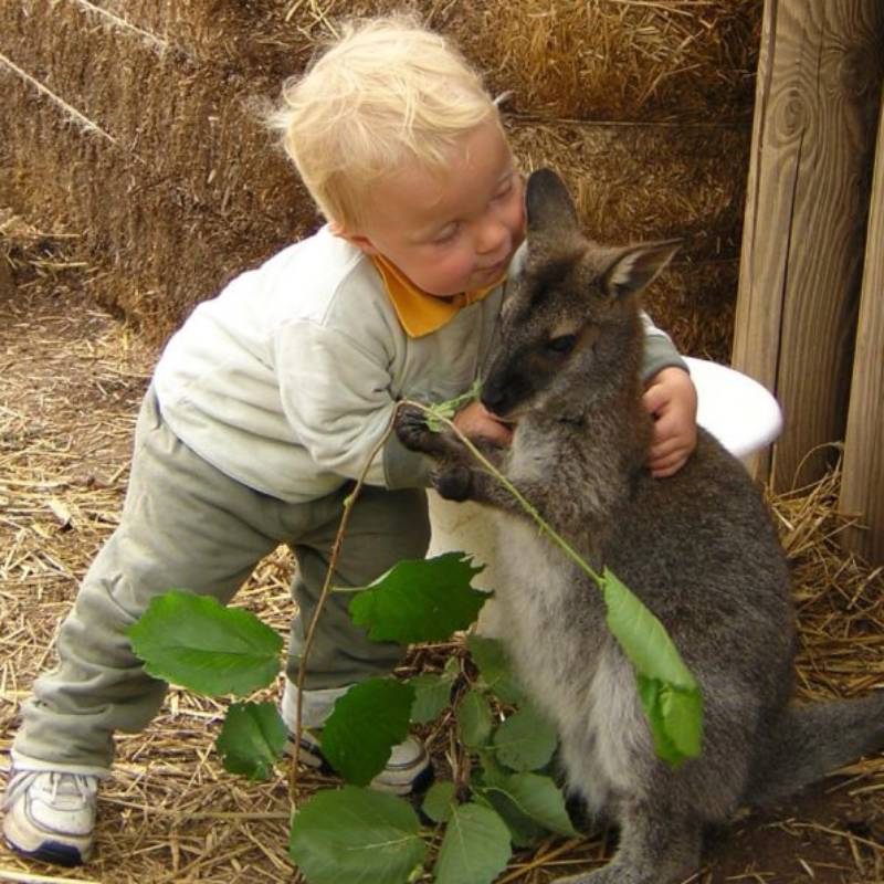 E billet tarif unique parc pedagogique myocastors st nectaire validite 02 11 2026