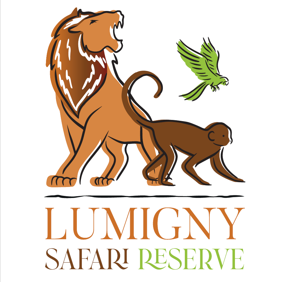 Lumigny safari reserve ex parc des felins e billet enfant avec option terre de singes validite 13 07 2027