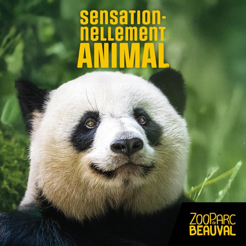 E billet zooparc de beauval adulte 1 jour validite jusqu au 14 01 2028