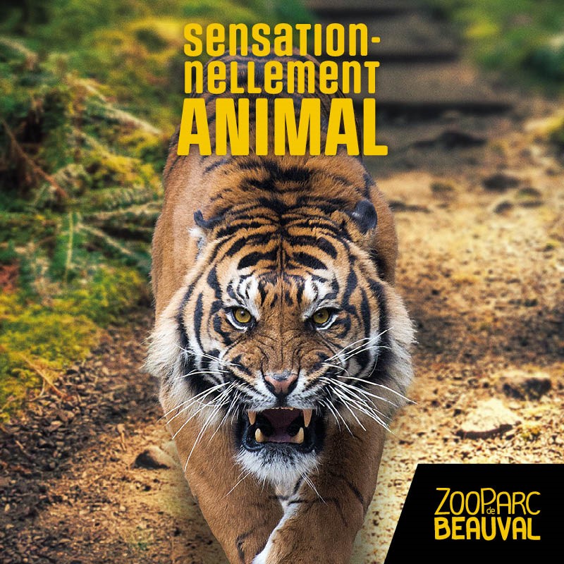 E billet zooparc de beauval enfant 2 jours validite jusqu au 22 12 2027