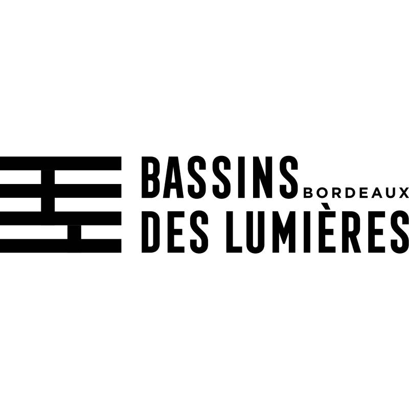 E billet bassin des lumieres adulte exposition permanente valable jusqu au 02 01 2027