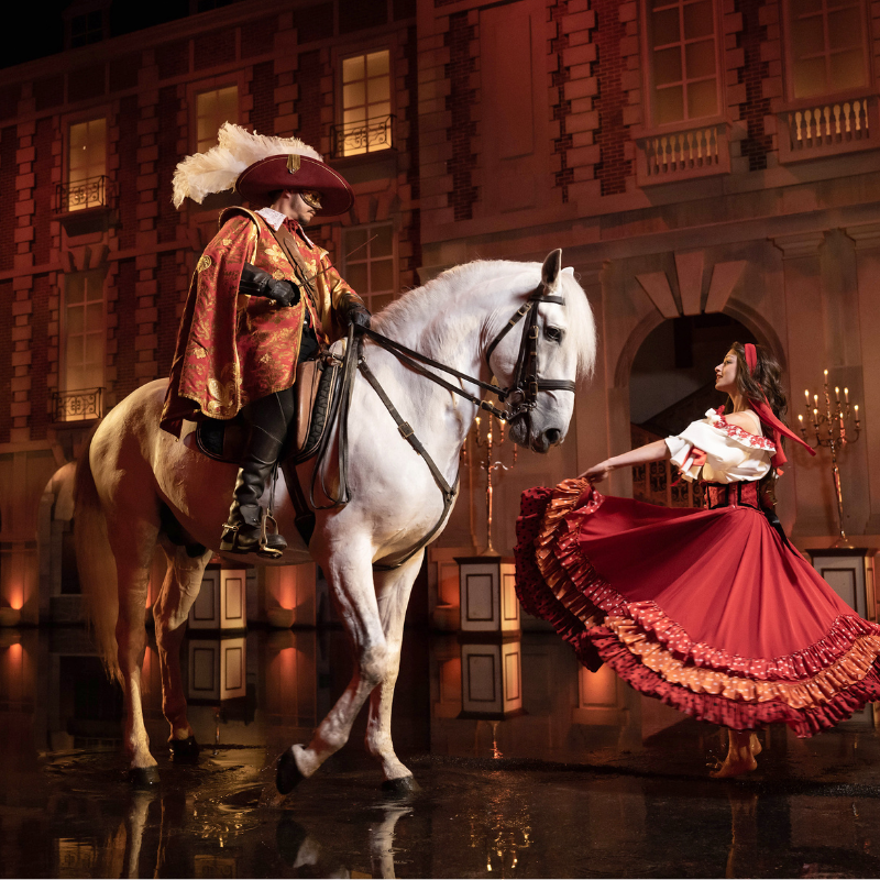 E billet adulte a partir de 12 ans 4 jours puy du fou saison 2026