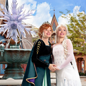 E billet flex disneyland paris adulte 1 jour 2 parcs valid 1 an apres la date d achat