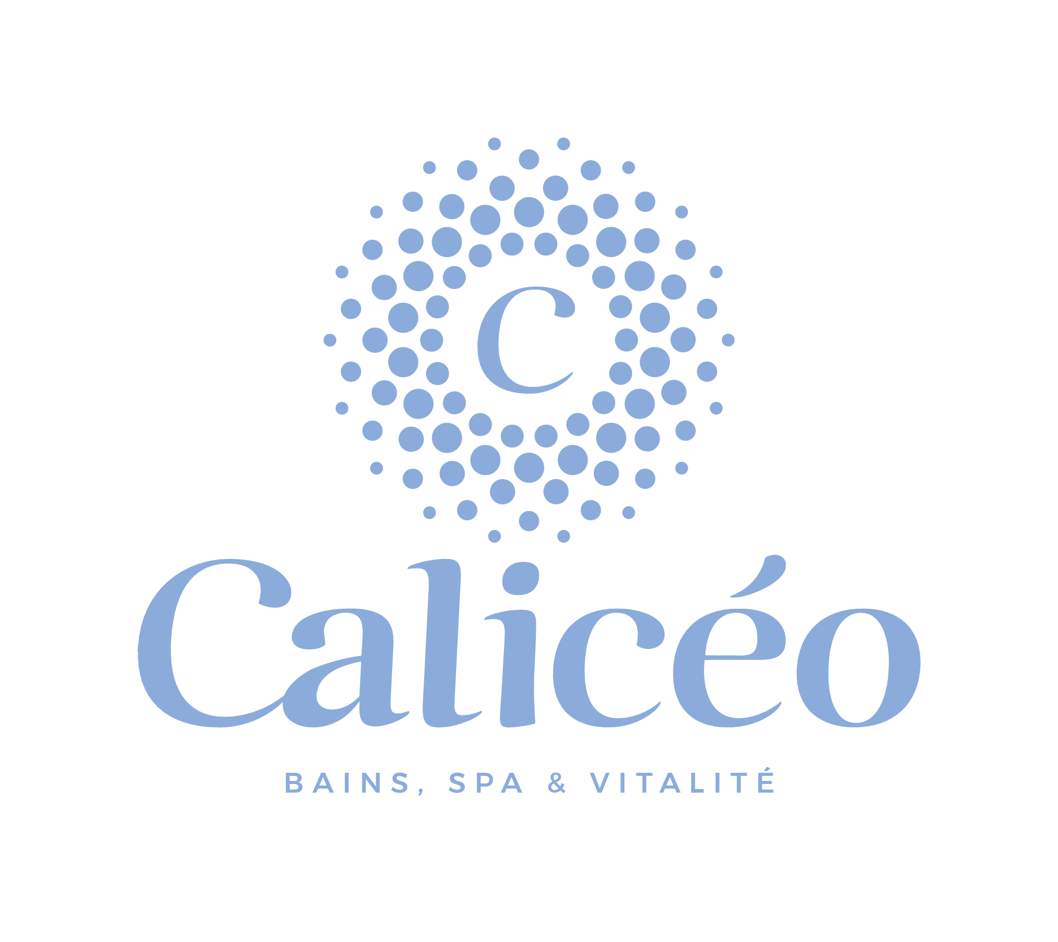 E billet pass 2 heures caliceo lille marcq en baroeul strasbourg lingolsheim validite 05 01 2027