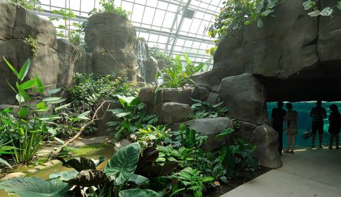 E billet enfant zoo de paris validite 29 04 2028