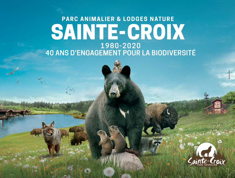 E billet adulte parc sainte croix validite 31 12 2027
