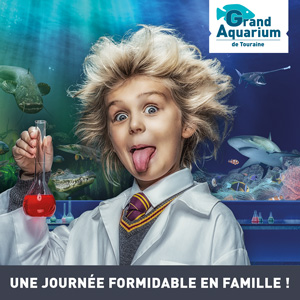 E billet adulte aquarium touraine validite jusqu au 03 01 2027