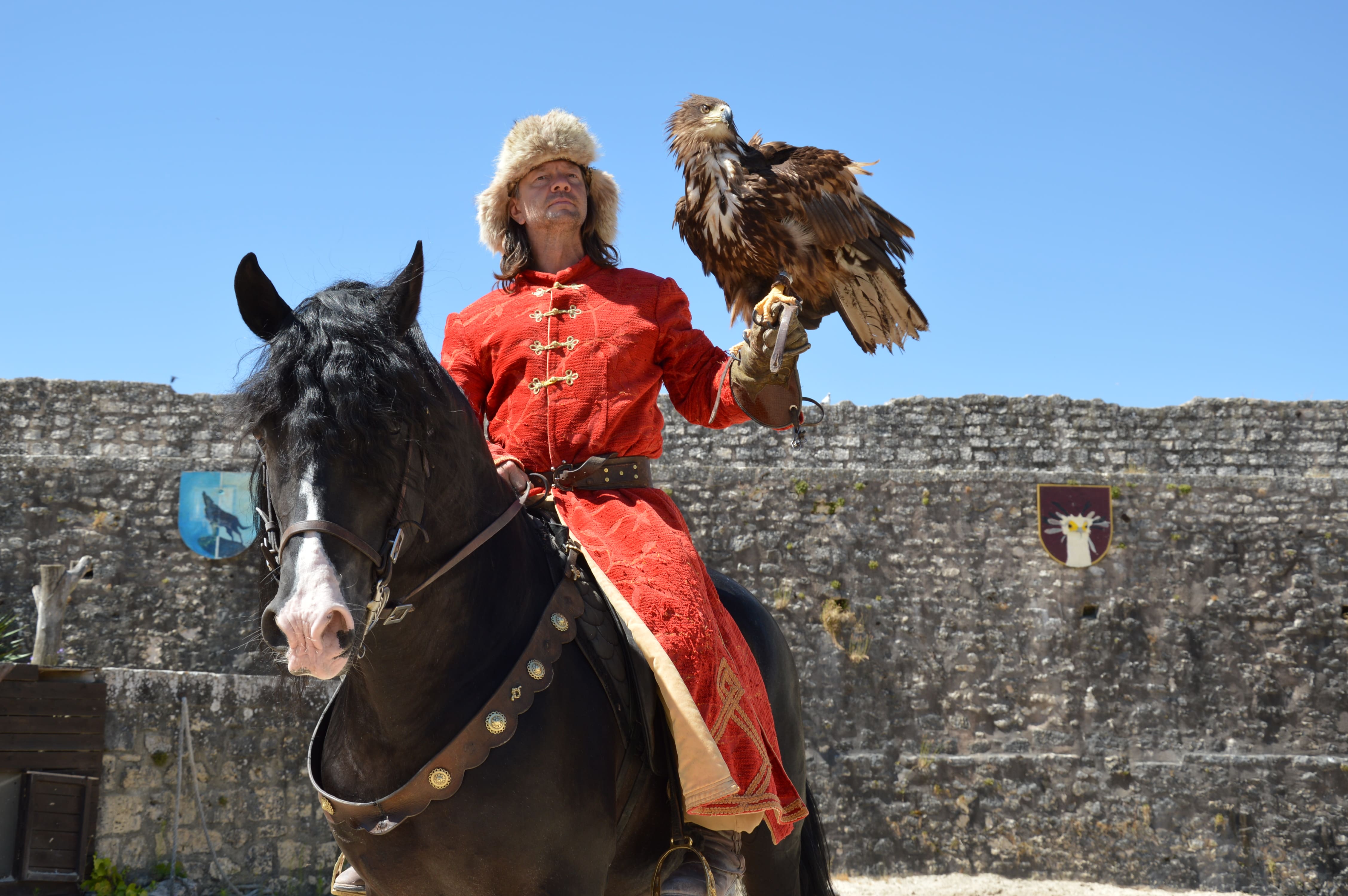 E billet enfant spectacle a provins les aigles des remparts saison 2026