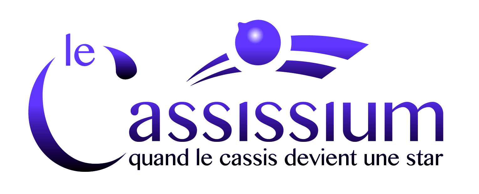 E billet cassissium validite jusqu au 31 12 2026